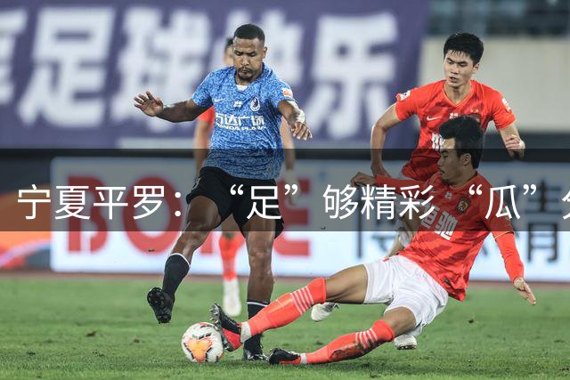 宁夏平罗：“足”够精彩 “瓜”分甜蜜