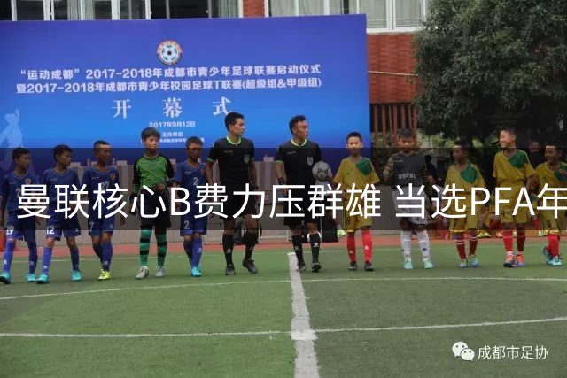 曼联核心B费力压群雄 当选PFA年度最佳球员