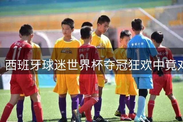 西班牙球迷世界杯夺冠狂欢中竟对中国支持者施以种族歧视
