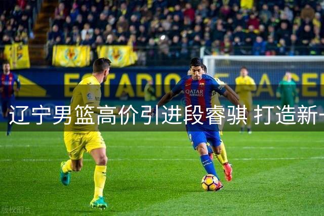 辽宁男篮高价引进段睿骐 打造新一代后卫阵容